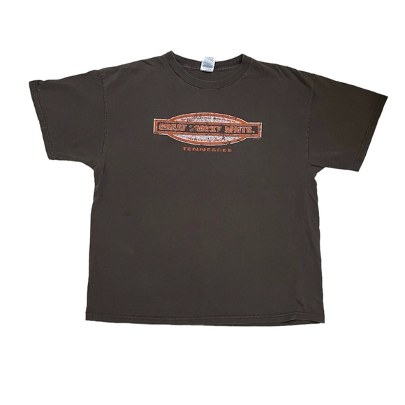 Vtg y2k Delta Great Smoky Mnts. Tennessee short sleeve tee - Picture 3 of 13